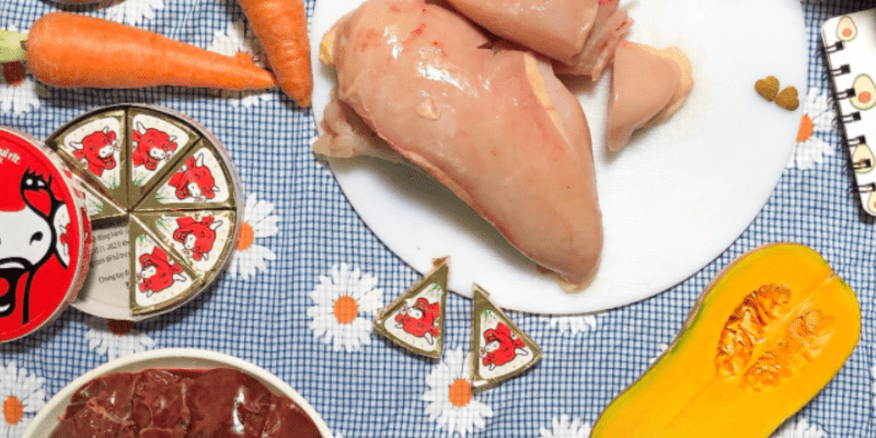 Hướng dẫn cách làm pate cho chó