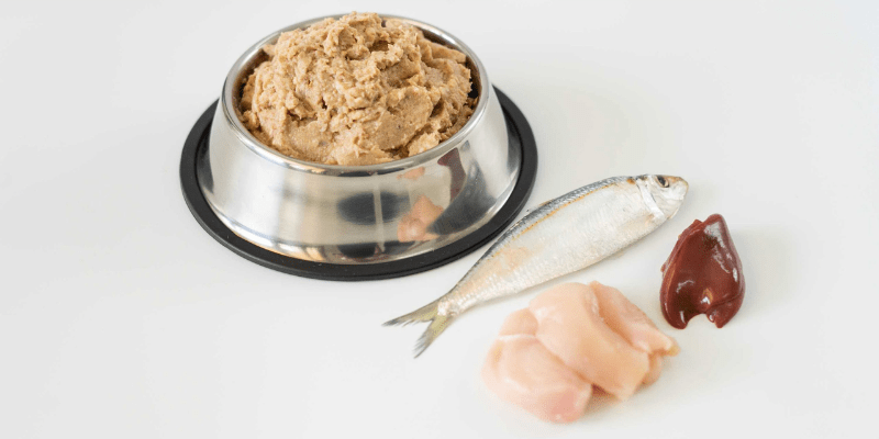 Lợi ích của cách làm pate cá cho mèo